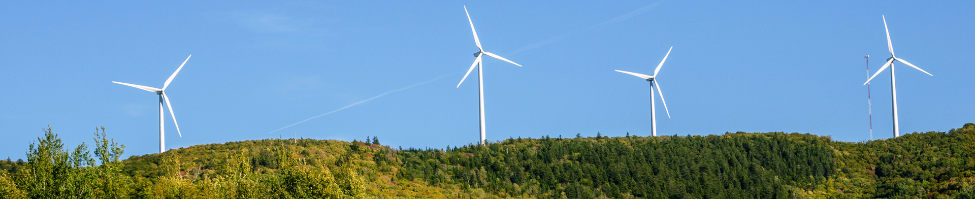 Photo of windmills